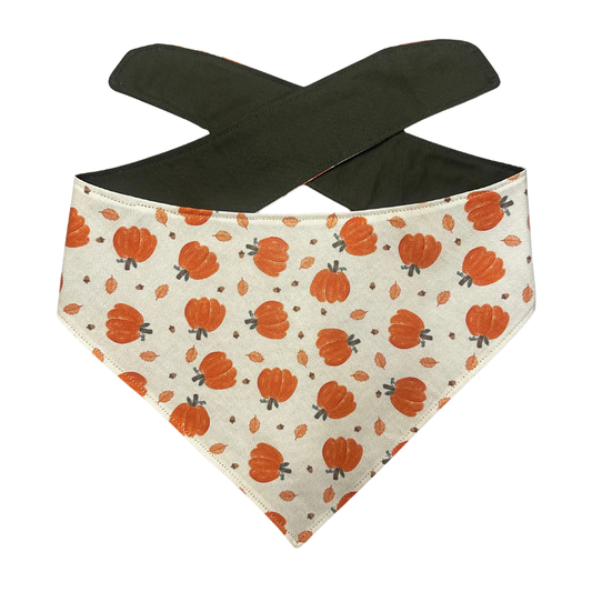 Fall Pumpkins Bandana